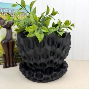 Bane Planter, Indoor Flower Pot, Tabletop Planter, Sculpted Geometric Pattern